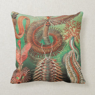 Almofada Vermes, Annelids Chaetopoda, por Ernst Haeckel