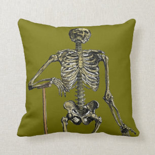Almofada Vesalius: Sistema esqueletal
