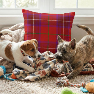 Almofada Vibrant Scottish Plaid - Rose Clan Tartan