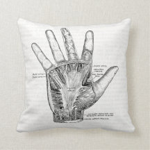 Vintage Anatomy Art A Palma da Mão