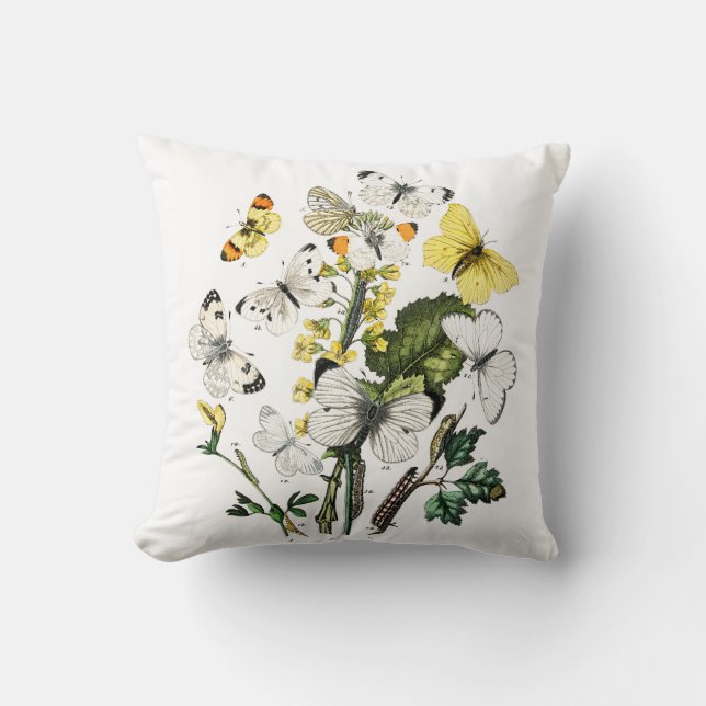 Almofada Vintage Butterfly Papillon Ilustração Antiga (Frente)