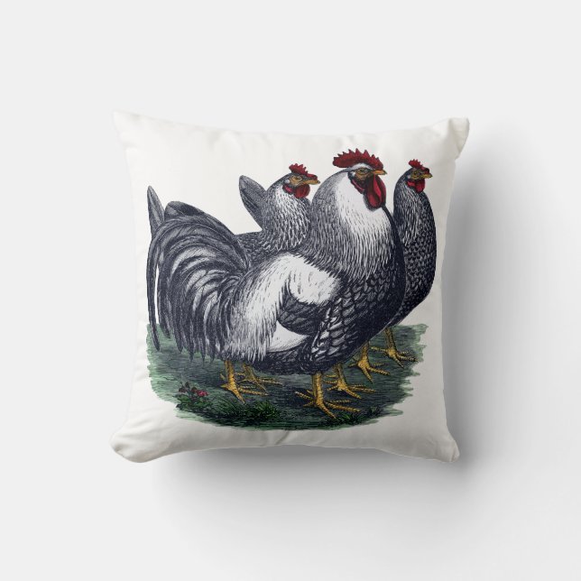 Almofada Vintage Chicken Trio (Frente)