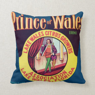 Almofada Vintage do citrino de Wales Florida do lago prince