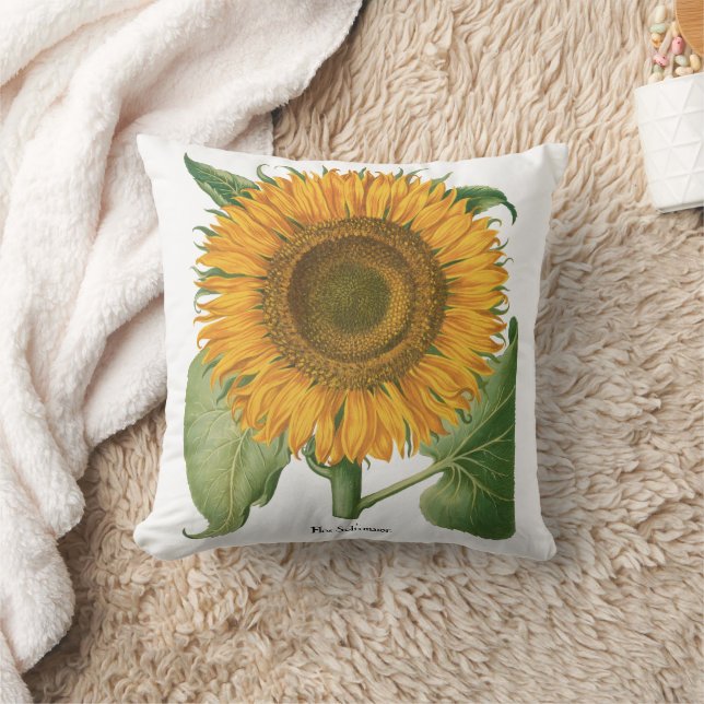 Almofada Vintage Sunflower Flower por Basilius Besler (Cobertor)