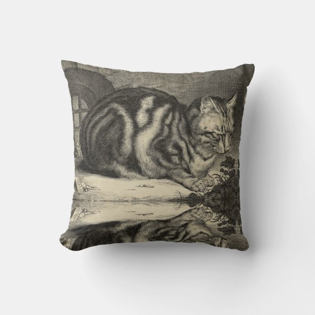 Almofada Vintage Tabby Cat (Frente)
