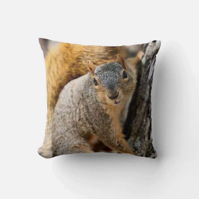 Almofada Você não vem? (Frente)