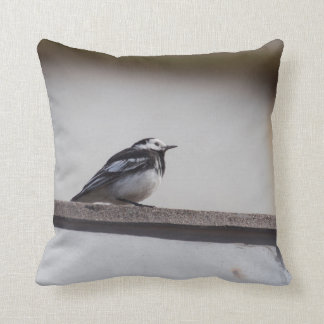 Almofada Wagtail Pied