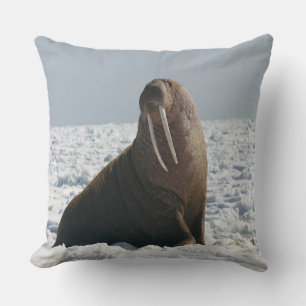 Almofada Walrus On Ice