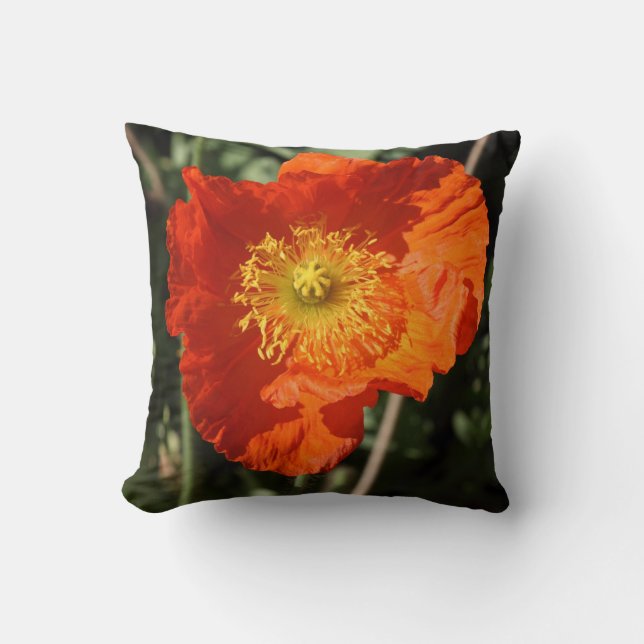 Almofada Welsh Poppy (Laranja) (Frente)