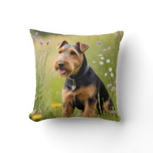 Welsh Terrier No Prado De Flores Selvagens