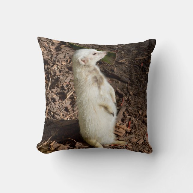 Almofada White Meerkat, Cushion (Frente)