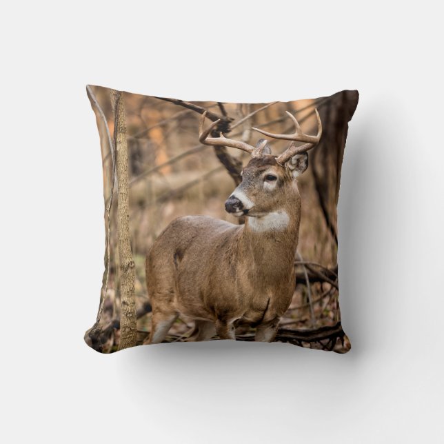Almofada White Tail Deer Buck (Frente)