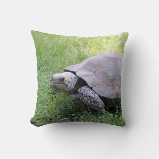 Almofada Wildlife Brown Tortoise Foto (Frente)