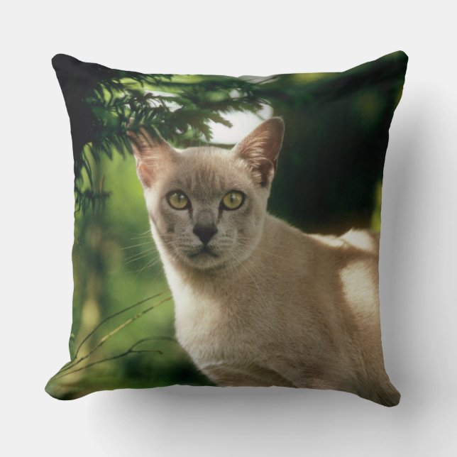 Almofada Wilham. (Frente)