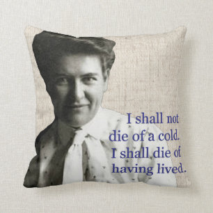 Almofada Willa Cather - história