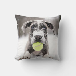 Almofada 🐕 Winter Great Dane cachorrinho com 🎾 bolas de t