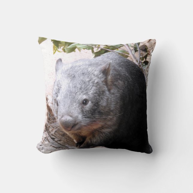 Almofada Wombat (Frente)