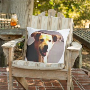 Almofada Woofs N' Wags