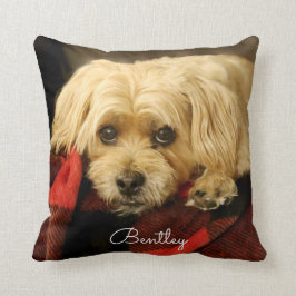 Almofada Xadrez verde completa do travesseiro | da foto