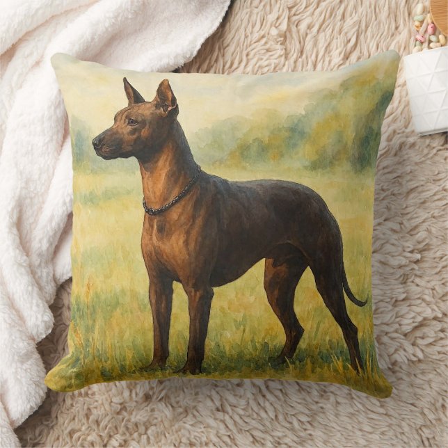 Almofada Xoloitzcuintli (Cobertor)