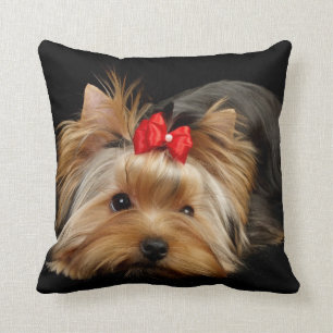 Almofada Yorkie com o travesseiro vermelho do arco