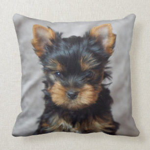 Almofada Yorkie pequeno