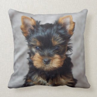 Almofada Yorkie pequeno