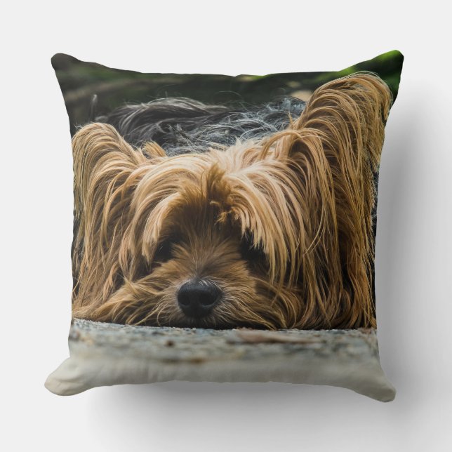 Almofada Yorkshire Closeup (Frente)