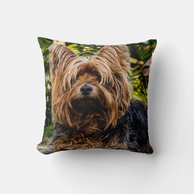 Almofada Yorkshire Terrier Dog (Frente)