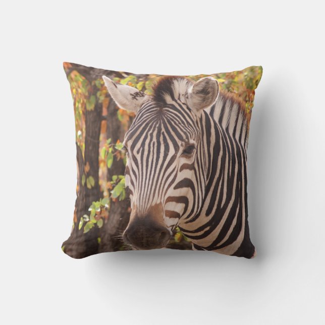 Almofada Zebra de Burchell com mudança de estação outono fo (Frente)