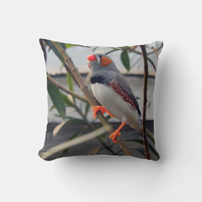 Almofada Zebra Finch (Frente)