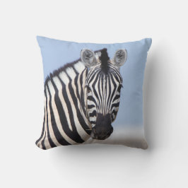 Almofada Zebra olhando para você com uma foto azul do céu