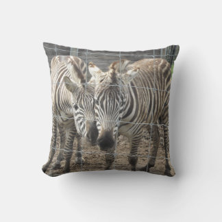 Almofada Zebras se aconchegando