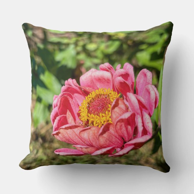 Almofada Zinnia rosa com centro amarelo (Frente)