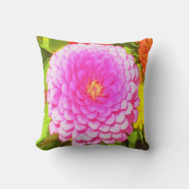 Almofada Zinnia rosa redonda bonito no Jardim de Verão