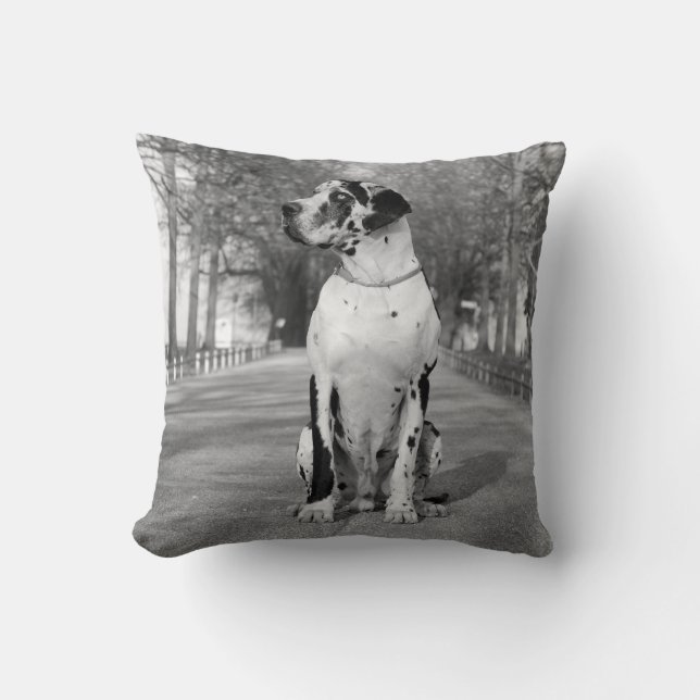 Almofadas com impressão dupla de Great Dane (Frente)
