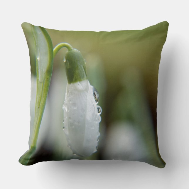 Almofadas de Arremesso Snow Drop (Frente)
