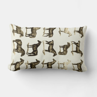 Almofadas de travesseiros de Gráfico de Raças de C