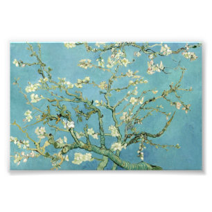 Almond Blossom por Impressões de fotos de arte Van