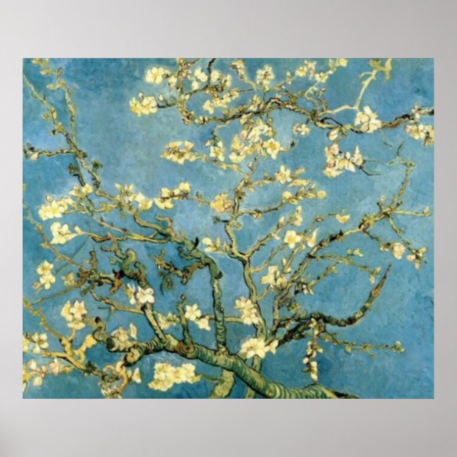 Almond Tree Poste-Impressionista Poster (Frente)