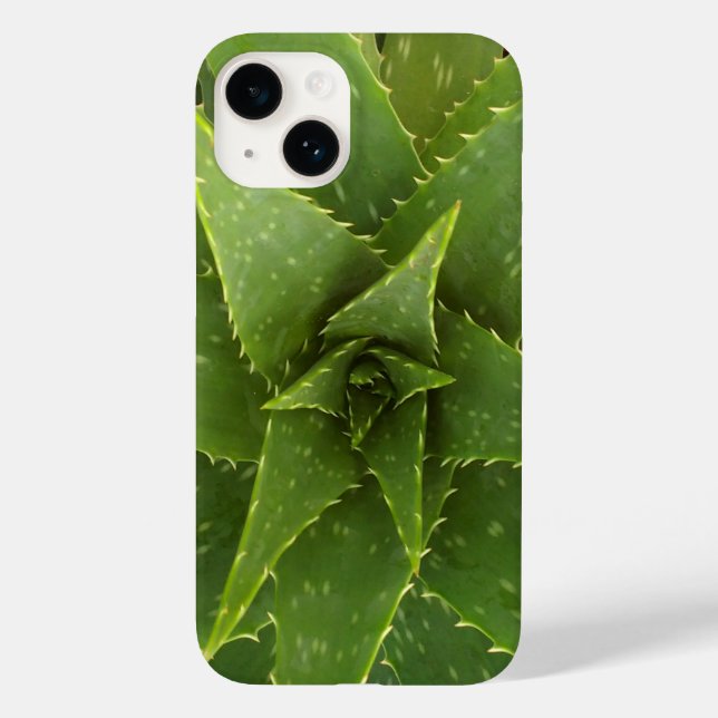 Aloe (Verso)