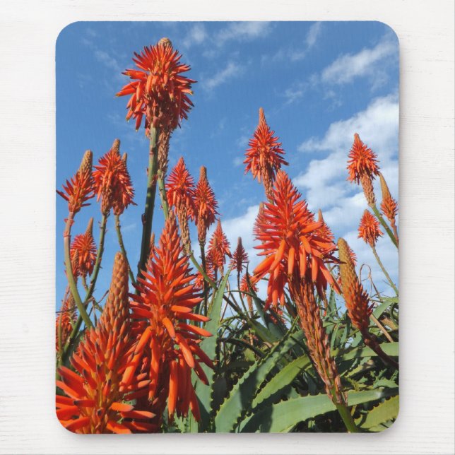 Aloe Arborescens mousepad (Frente)
