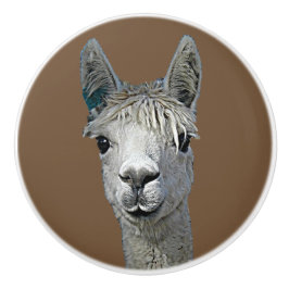 Alpaca Alpakka Alpaka Alpaga