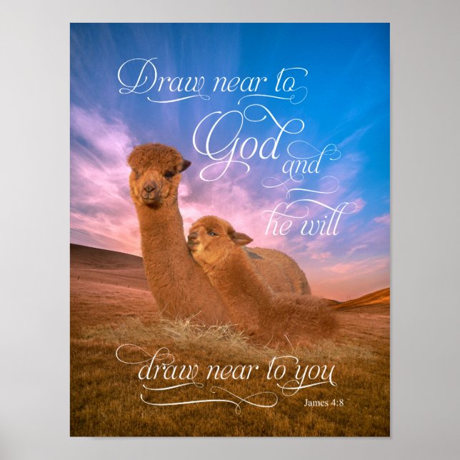 Alpaca Bíblia Versa Desenhar Perto de Deus Poster (Frente)