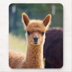 Alpaca bonita Mousepad