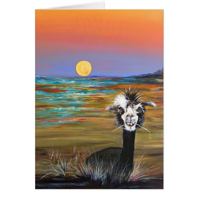 Alpaca - Cartão de nota de Vincent (Frente)