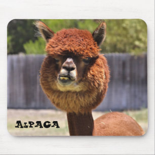 Alpaca engraçada Mousepad