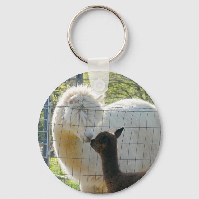 Alpaca Kiss Button Chaveiro (Frente)