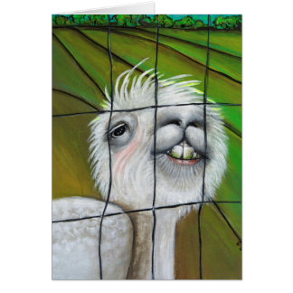 Alpaca - Pequeno Dreamer com cartão de história
