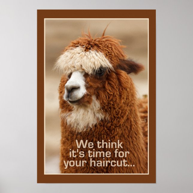 Alpaca poster (Frente)